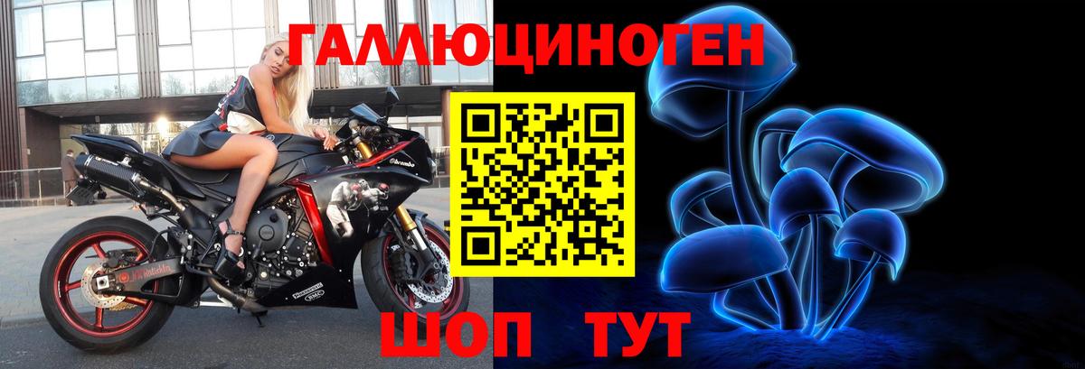Кузнецк  Псилоцибиновые грибы прущие грибы  Галлюциногенные грибы Psilocybe  Вход с VPN 