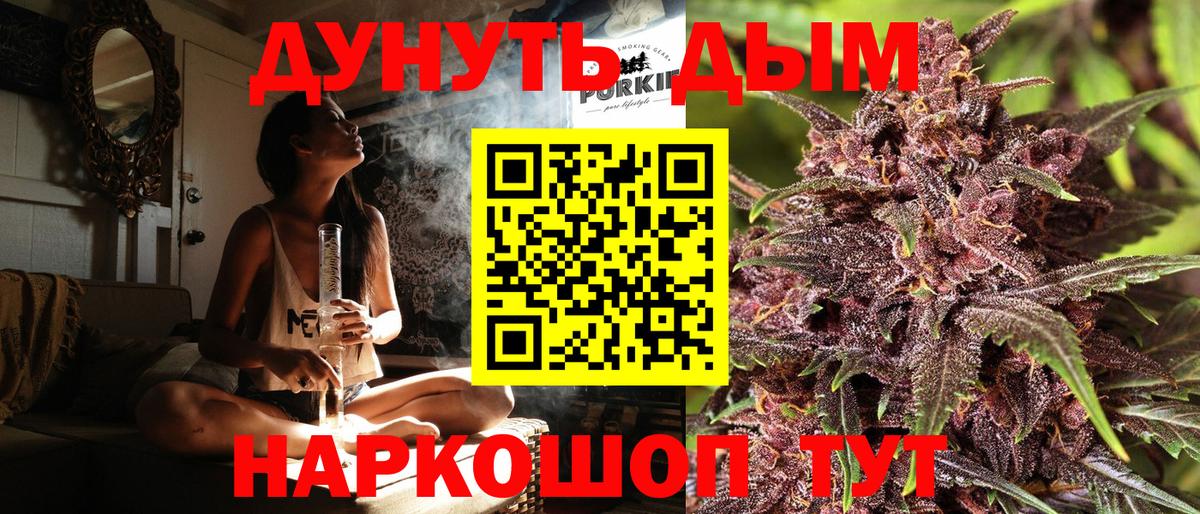 Каннабис сатива Кузнецк